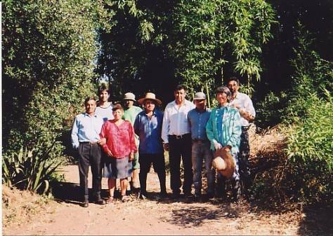 El equipo de trabajo de la parcela reunido frente al campo.